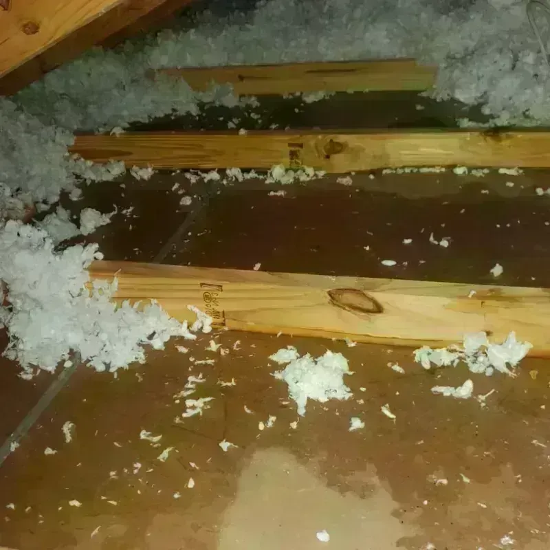 Attic Water Damage in Le Roy, NY